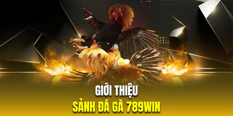 Khám Phá Đá Gà 789Win – Cơ Hội Cá Cược Thú Vị Và Lợi Nhuận Cao